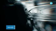 Темата на NOVA: „Рибният буквар“ (24.05.2023)