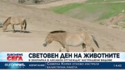 В зоопарка в Лисабон защитават застрашени видове